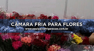 Câmara Fria para Flores