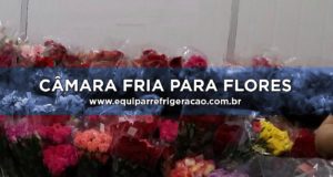 Câmara Fria para Flores