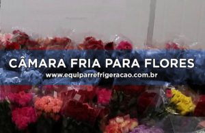 Câmara Fria para Flores