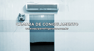 Câmara de Congelamento