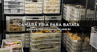 Câmara Fria para Batata