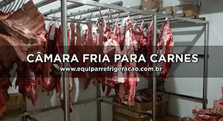 Câmara Fria para Carnes