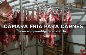 Câmara Fria para Carnes - Equipar Refrigeração