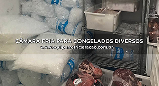 Câmara Fria para Congelados Diversos