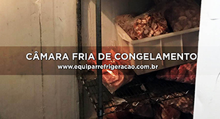 Câmara Fria de Congelamento