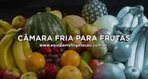 Câmara Fria para Frutas - Equipar Refrigeração