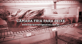 Câmara Fria para Peixe