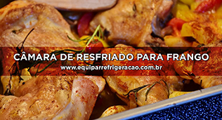 Câmara de Resfriado para Frango