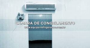 Câmara de Congelamento ou Câmara Fria de Congelamento