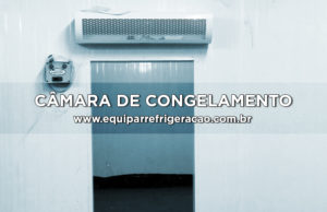 Câmara de Congelamento ou Câmara Fria de Congelamento