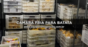 Câmara Fria para Batata Semente