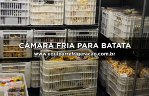 Câmara Fria para Batata Semente