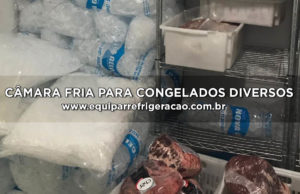 Câmara Fria para Congelados Diversos