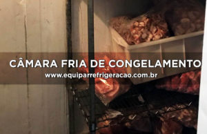 Câmara Fria de Congelamento