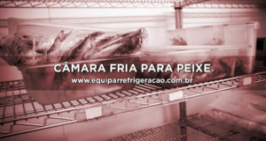 Câmara Fria para Peixe - Equipar Refrigeração