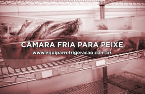 Câmara Fria para Peixe - Equipar Refrigeração