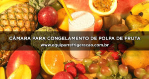 Câmara para Congelamento de Polpa de Fruta