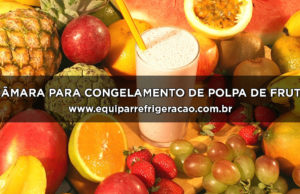 Câmara para Congelamento de Polpa de Fruta