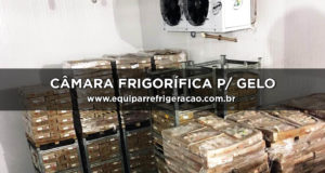 Câmara Frigorífica para Gelo