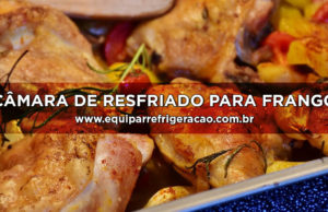 Câmara de Resfriado para Frango ou Câmara Fria para Frango