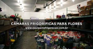 Câmaras Frigoríficas para Flores - Equipar Refrigeração