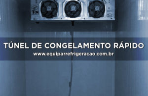 Túnel de Congelamento Rápido ou Câmara de Congelamento - Equipar Refrigeração